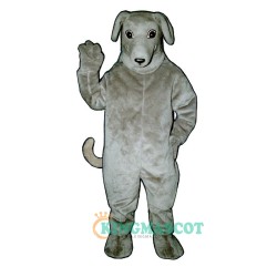 Greyhound Uniform, Greyhound Mascot Costume