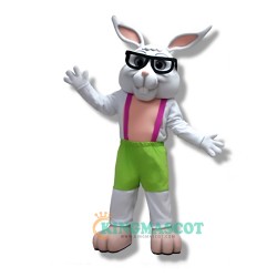 Rabbit Uniform, Cute Eyeglasses Rabbit Mascot Costume
