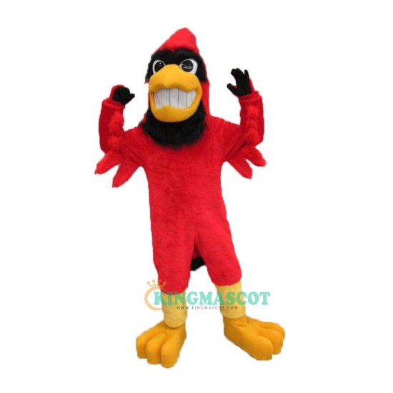 Handsome Cardinal Uniform, Handsome Cardinal Mascot Costume