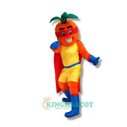 Uniform, College Cute Mascot Costume