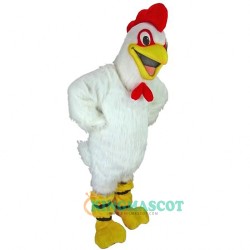 Hen Uniform, Hen Mascot Costume