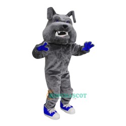 High School Bulldog Uniform, High School Bulldog Mascot Costume