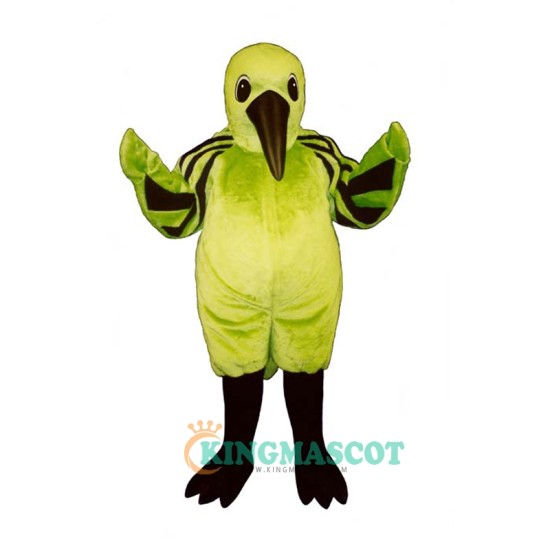 Hummingbird Uniform, Hummingbird Mascot Costume
