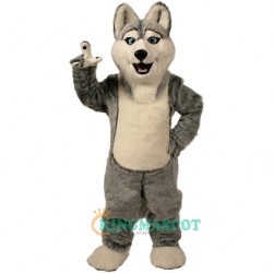 Husky Uniform, Husky Mascot Costume