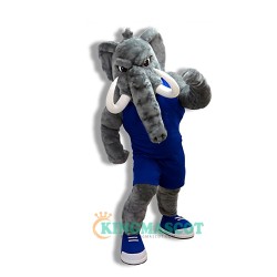 Elephant Uniform, Power Elephant Mascot Costume