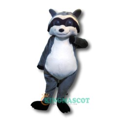 Raccoon Uniform, Cool Raccoon Mascot Costume