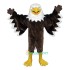 Interesting Eagle Uniform, Interesting Eagle Mascot Costume