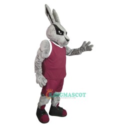 Handsome Power Rabbit Uniform, Handsome Power Rabbit Mascot Costume