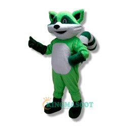 Raccoon Uniform, Cute Raccoon Mascot Costume