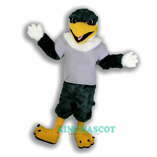 Jay Hawk Uniform, Jay Hawk Mascot Costume