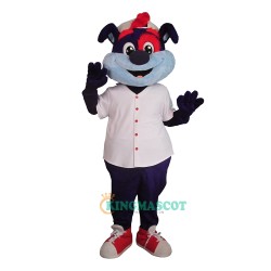 Sports Fox Uniform, Sports Fox Mascot Costume