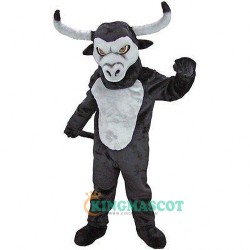 Longhorn Uniform, Longhorn Mascot Costume
