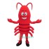 Lovely Crawfish Uniform, Lovely Crawfish Mascot Costume