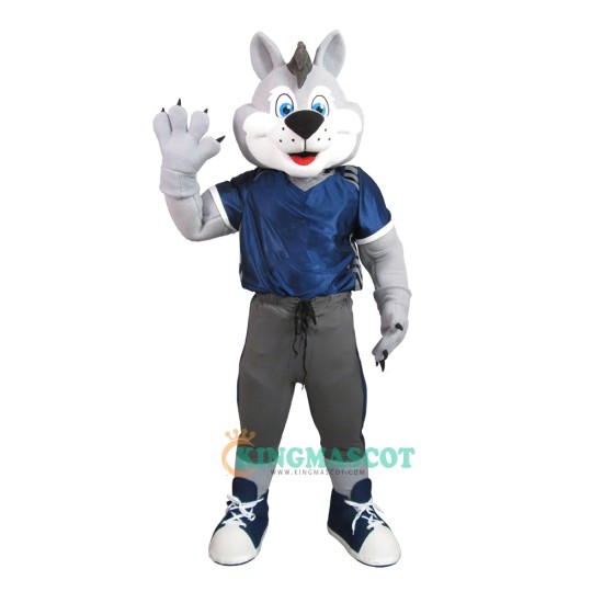 College Friendly Lovely Dog Uniform, College Friendly Lovely Dog Mascot Costume