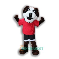 Maryville Dog Uniform, Maryville Dog Mascot Costume