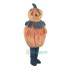 New Pumpkin Uniform, New Pumpkin Mascot Costume