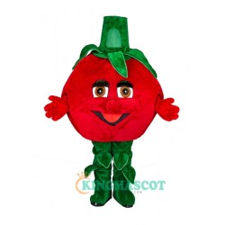 Tomato Uniform, Tomato Mascot Costume