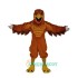 Mighty Golden Eagle Uniform, Mighty Golden Eagle Mascot Costume