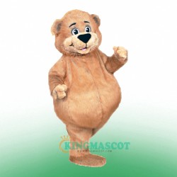 Mr Bear Uniform, Mr Bear Mascot Costume
