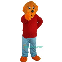 Mr. Orange Bear Uniform, Mr. Orange Bear Mascot Costume