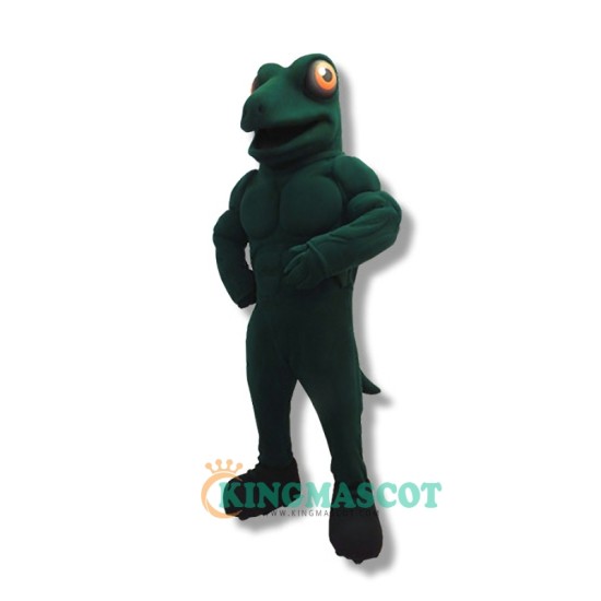 Lizard Uniform, Power Lizard Mascot Costume