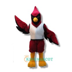 Bird Uniform, College Red Bird Mascot Costume
