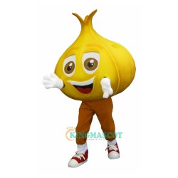 Onion Uniform, Onion Mascot Costume