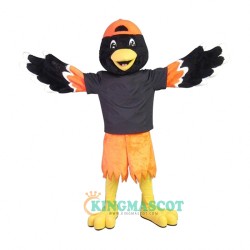 Oriole Uniform, Oriole Mascot Costume