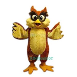 Owl Uniform, Owl Mascot Costume