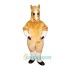 Palomino Uniform, Palomino Mascot Costume