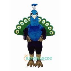 Peacock Uniform, Peacock Mascot Costume