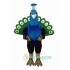 Peacock Uniform, Peacock Mascot Costume