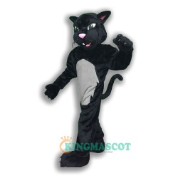 Pelham Panther Uniform, Pelham Panther Mascot Costume