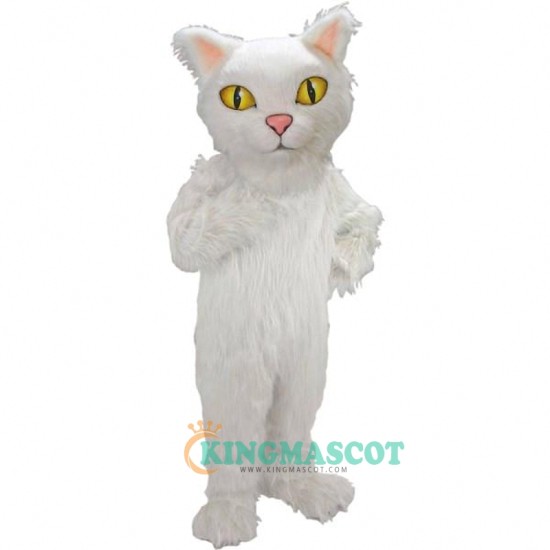 Persian Cat Mascot, Persian Cat Mascot