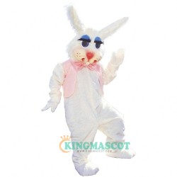Peter Rabbit Uniform, Peter Rabbit Mascot Costume
