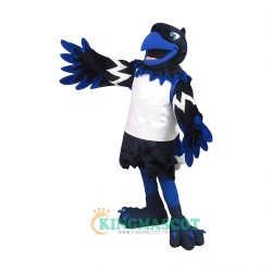 Phoenix Uniform, Phoenix Mascot Costume