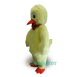 Plush Duck Uniform, Plush Duck Mascot Costume