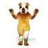 Pug Uniform, Pug Mascot Costume