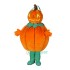 Pumpkin stuffed Uniforms, Pumpkin stuffed mascot costumes