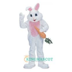 Rabbit Uniform, Rabbit Mascot Costume