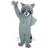 Raccoon Uniform, Raccoon Mascot Costume