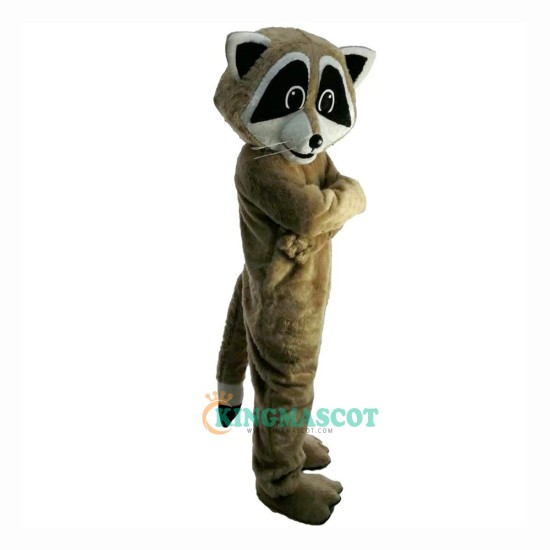 Racoon Wildcat Cartoon Uniform, Racoon Wildcat Cartoon Mascot Costume