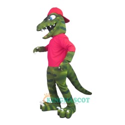 Raptor Uniform, Raptor Mascot Costume