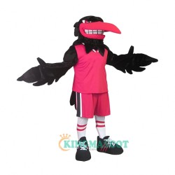 Raven Uniform, Raven Mascot Costume