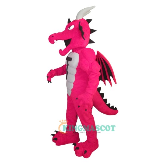 Red Dragon Uniform, Red Dragon Mascot Costume