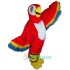 Red Macaw Uniform, Red Macaw Mascot Costume