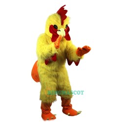 Yellow Cock  Uniform, Rhubarb Chicken