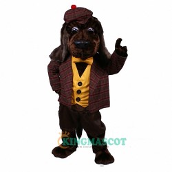 Rover Uniform, Rover Mascot Costume