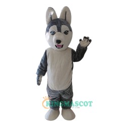 Grey Wolf Siberian Husky Uniform, Grey Wolf Siberian Husky Mascot Costume