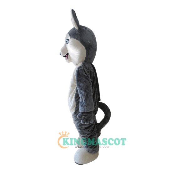 Grey Wolf Siberian Husky Uniform, Grey Wolf Siberian Husky Mascot Costume